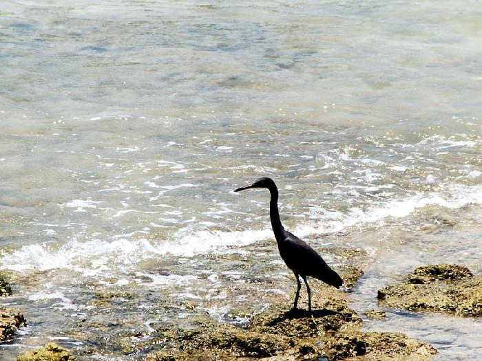 Photo by :: ลมหลวง