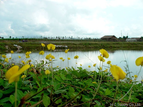 Photo by :: �� ��աִ�ѡ���