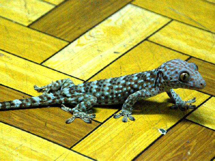 Photo by :: ����ǧ