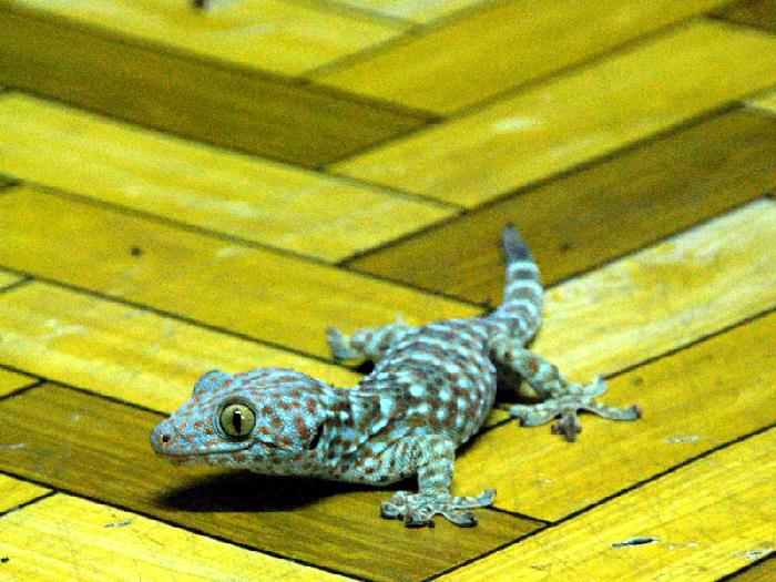 Photo by :: ����ǧ