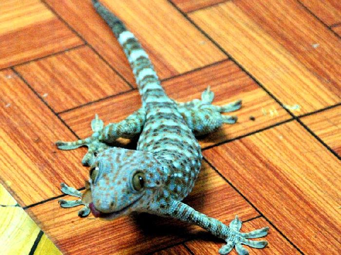 Photo by :: ����ǧ