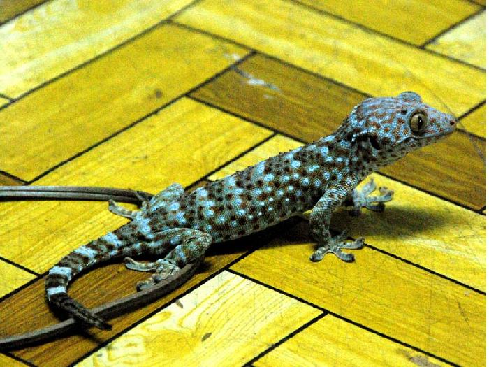 Photo by :: ����ǧ