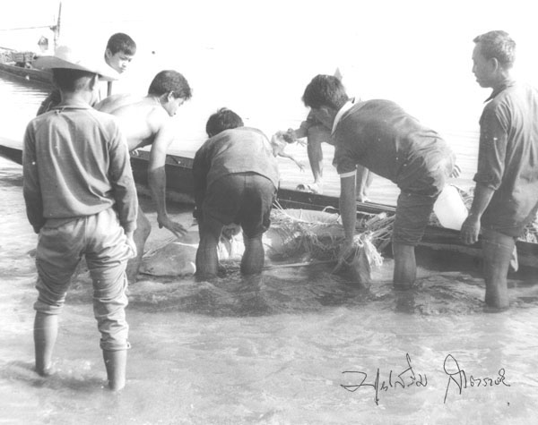 Photo by :: ไค่ แบ่งฮูปเก่ากั๋นผ่อ