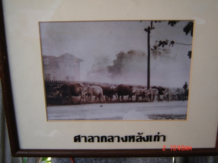 Photo by :: คำปันเกย