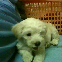 Photo by :: ���