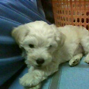 Photo by :: กาย