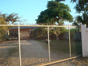 Photo by :: �ѹ��