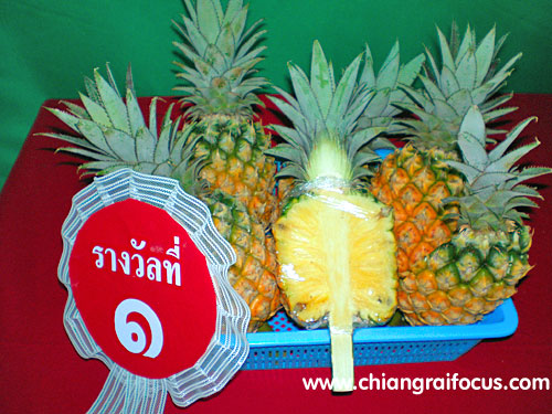 Photo by :: ����������