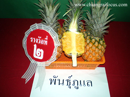 Photo by :: ����������