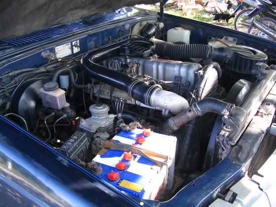 Photo by :: ��ʴ��