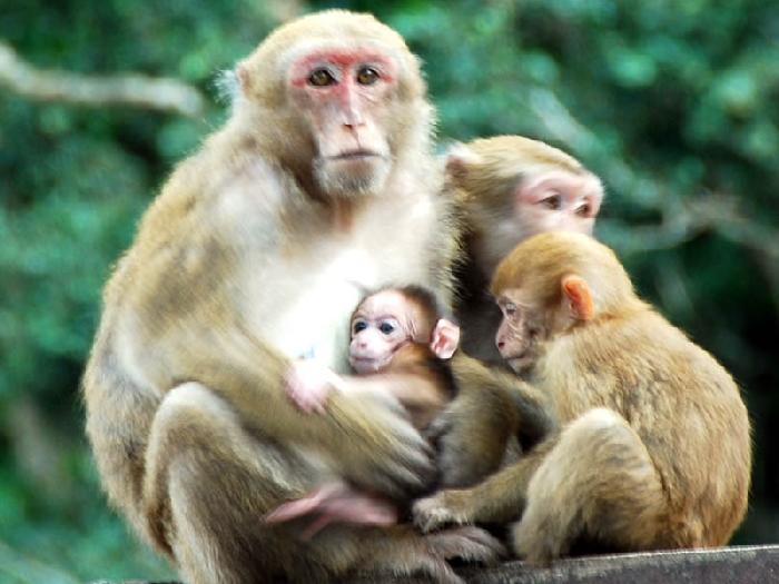 Photo by :: ����ǧ