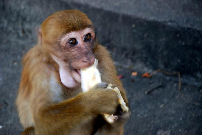 Photo by :: ����ǧ