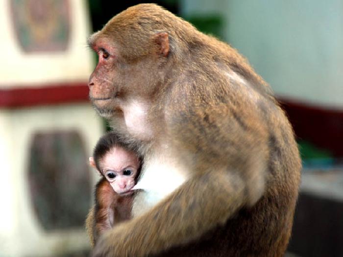 Photo by :: ����ǧ