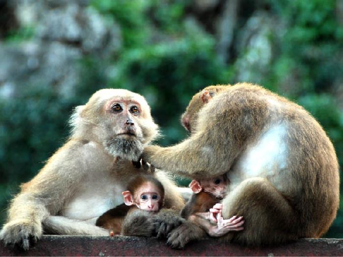 Photo by :: ����ǧ