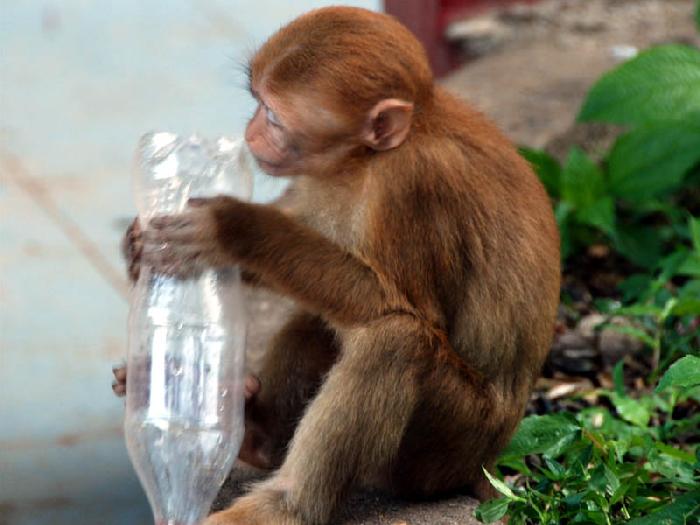 Photo by :: ����ǧ