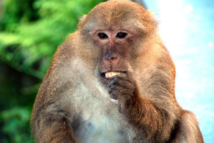 Photo by :: ����ǧ