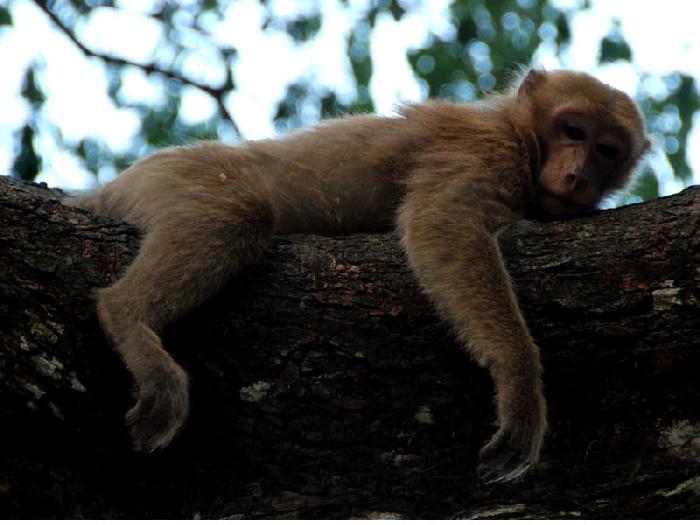 Photo by :: ����ǧ