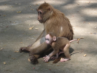 Photo by :: �����