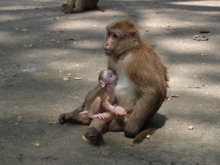 Photo by :: �����