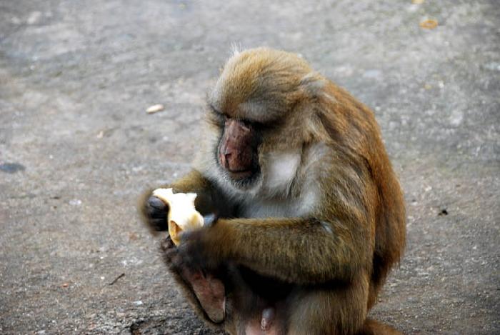 Photo by :: ����ǧ