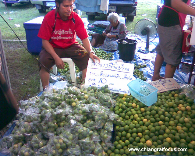 Photo by :: ����������