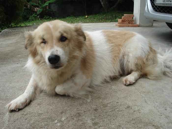 Photo by :: �����