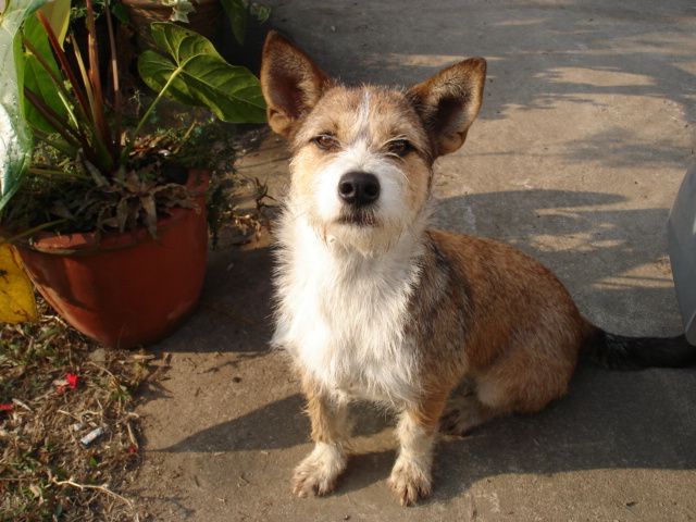 Photo by :: �����