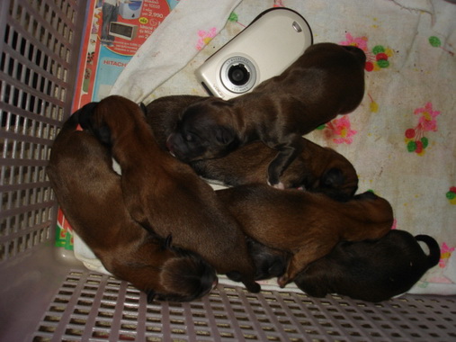 Photo by :: �����