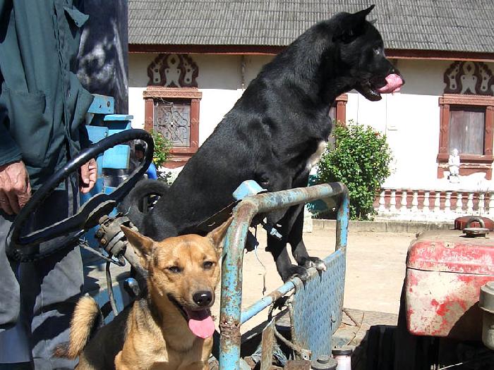 Photo by :: ����ǧ