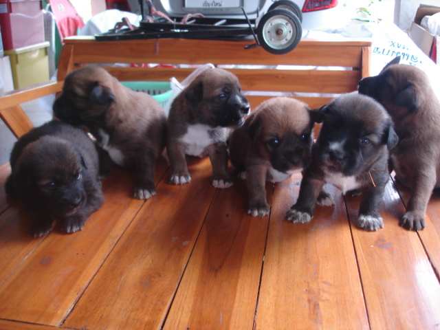 Photo by :: �����