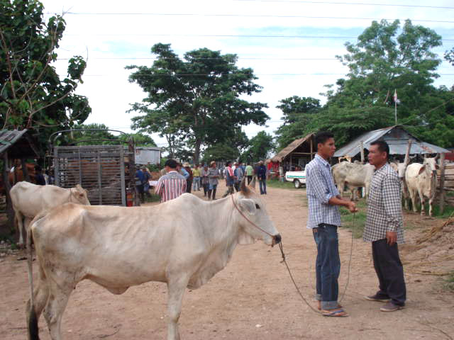 Photo by :: ����ǧ