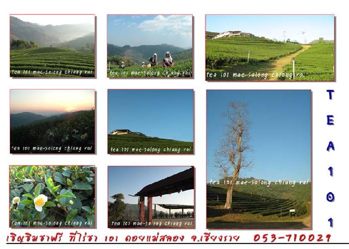 Photo by :: Mr.��§���