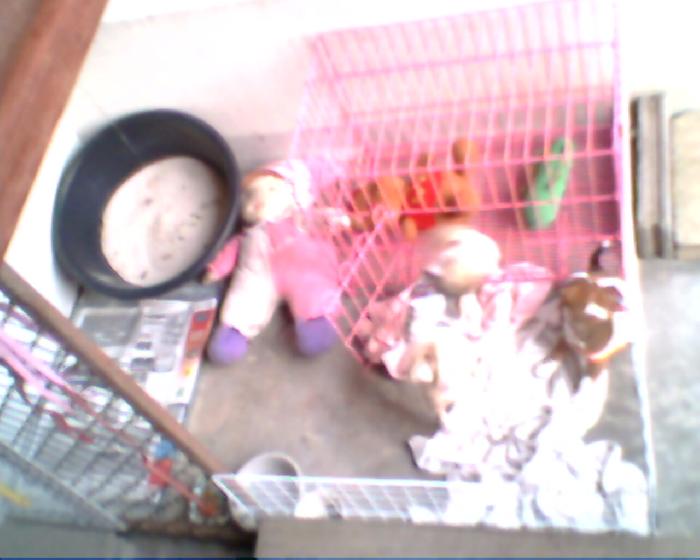 Photo by :: �����