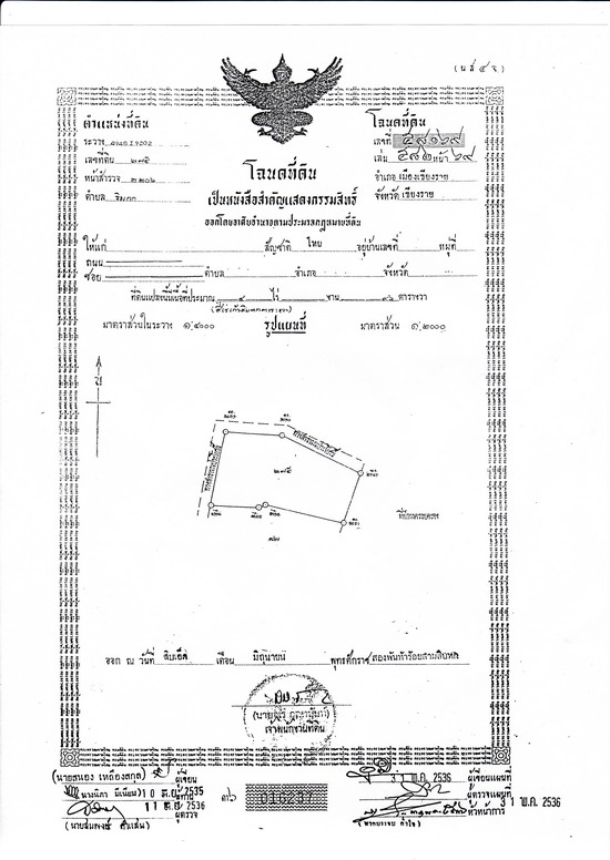 Photo by :: ���