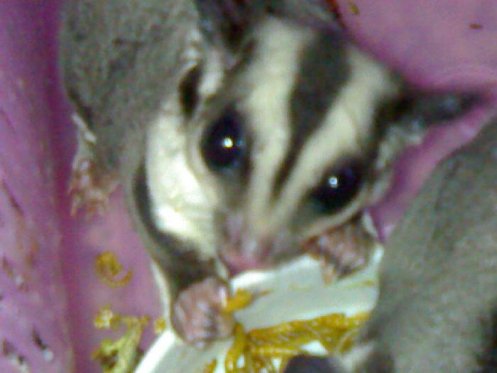 Photo by :: ������