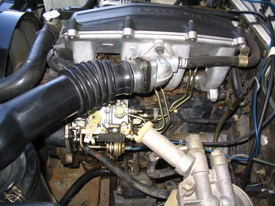 Photo by :: ����