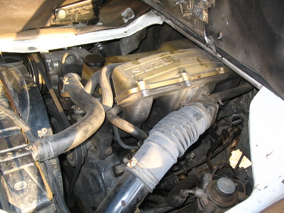 Photo by :: บัดดี้