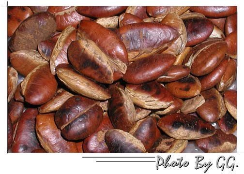 Photo by :: �ӻѹ��