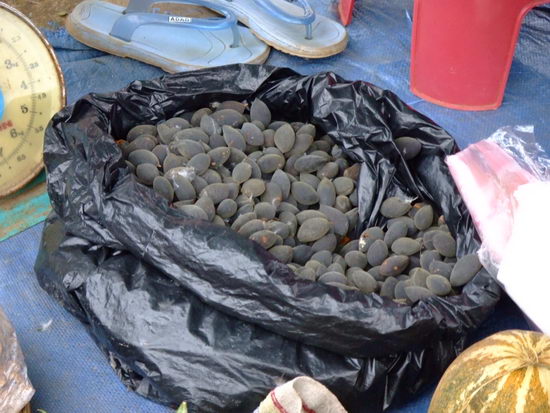 Photo by :: �ӻѹ��