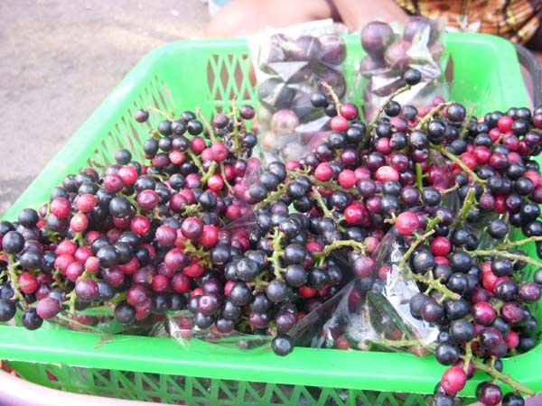 Photo by :: �ӻѹ��