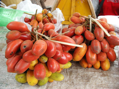 Photo by :: �ӻѹ��