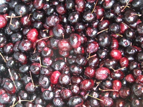 Photo by :: �ӻѹ��