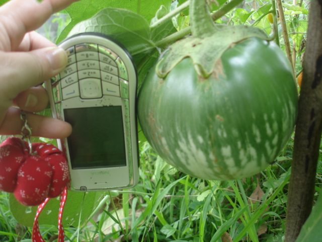 Photo by :: �����