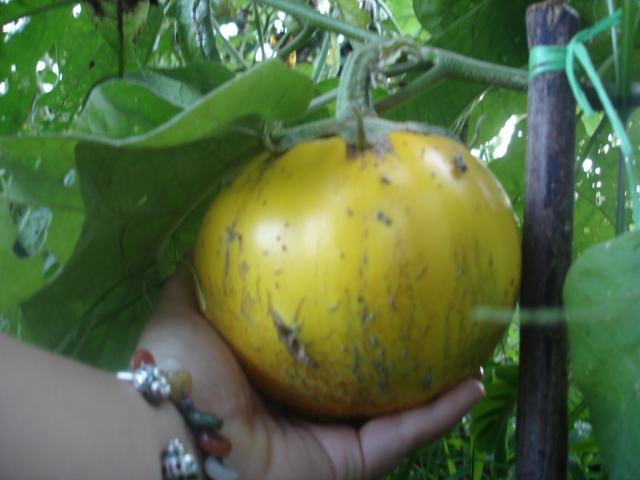 Photo by :: �����