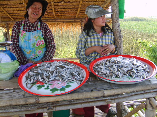 Photo by :: ����ǧ