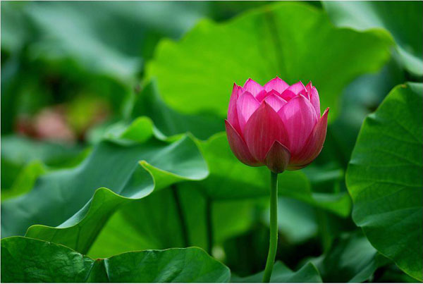 Photo by :: �����