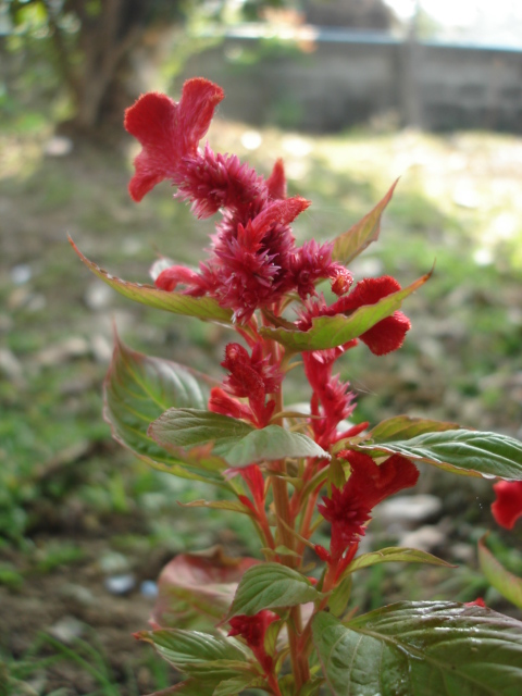 Photo by :: �����