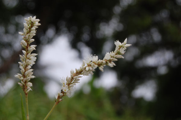 Photo by :: �����