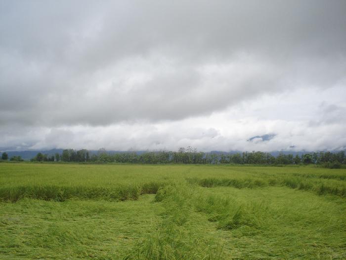 Photo by :: �ԡ���