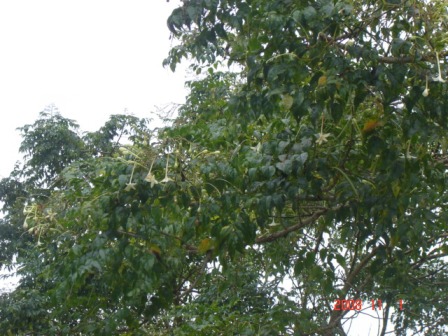 Photo by :: �ӻѹ��